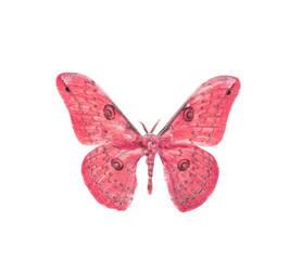 Obraz premium colorful butterfly isolated on white