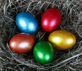 Fototapeta na wymiar Easter Eggs in a nest
