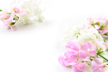 Fototapeta na wymiar Beautiful Flowers. Card with floral design