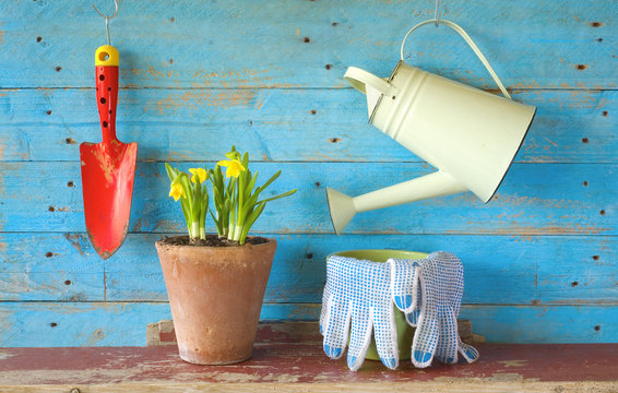 young flower with gardening tools, free copy space