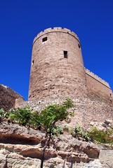 Fototapeta na wymiar Almeria castle tower © Arena Photo UK