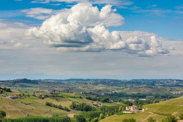 Fototapeta na wymiar Green hills of Piedmont in spring.