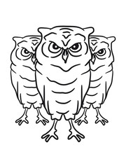 3 Cool evil owls team friends