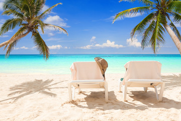 Pair of deck chairs on a tropical beach between coconut palms