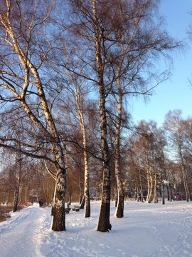 Winterspaziergang