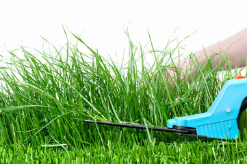 Cutting Grass