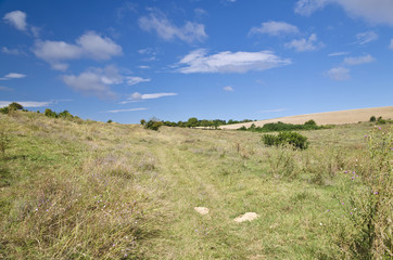 Obraz premium Sunny Blue Sky, Meadow and a tree near the village Katselovo