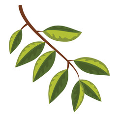 Tree branch with leaves