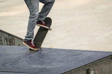 Skateboarder