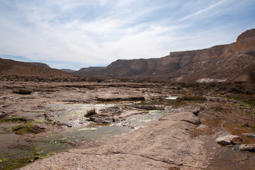 Water spring in a desert
