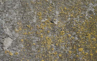 Old concrete