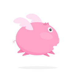 Flying Pink Pig.