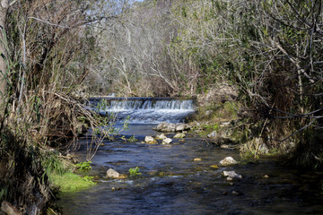 View of a fresh stream of water on the forest