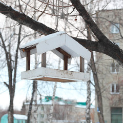 Winter bird feeder