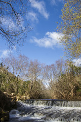 View of a fresh stream of water on the forest.