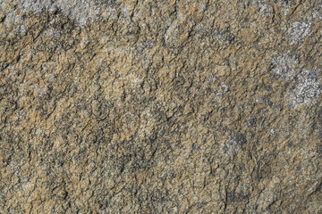 Stone