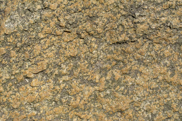 Stone