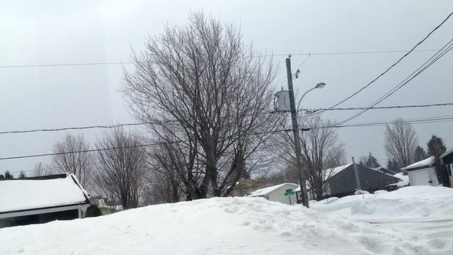 hiver