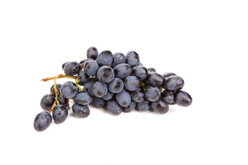 Branch of black ripe grapes.