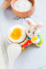 Easter rabbit and egg on white wooden table background