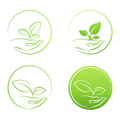 Hand holding plant, logo growth concept vector set