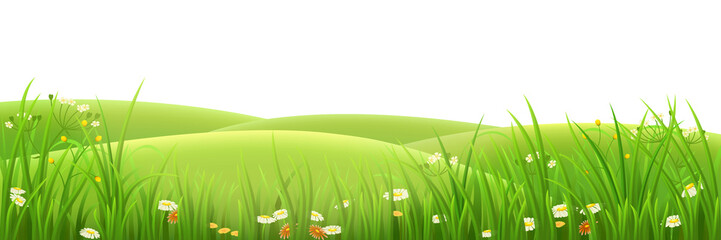 Fototapeta premium Meadow, green grass and flowers , vector illustration