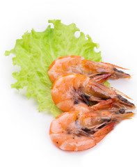 boiled shrimps isolated