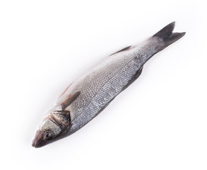 Fresh seabass