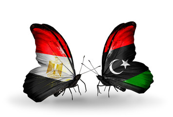 Two butterflies with flags Egypt and Libya