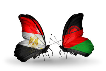 Two butterflies with flags Egypt and Malawi