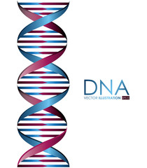 DNA design, vector illustration.