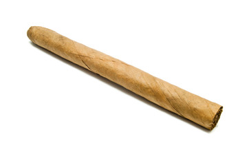 cuban cigar on white