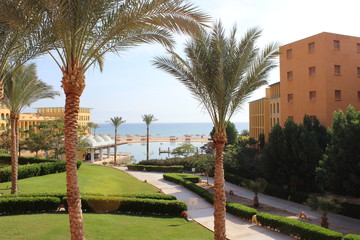 Fototapeta premium В отеле у Красного моря