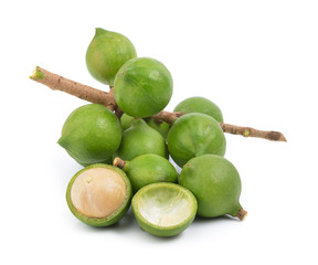 fresh macadamia nut on white background