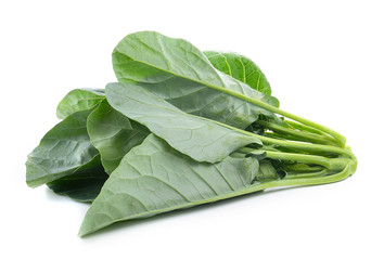 chinese broccoli on white background