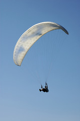 Paraglider