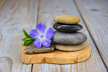Naklejka na ściany i meble zen stones on old grey used wood with purple flower