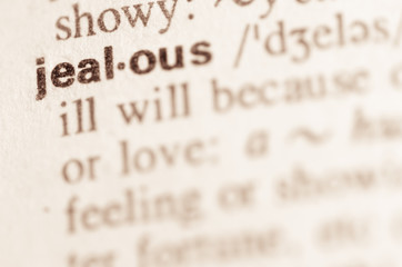 Dictionary definition of word jealous