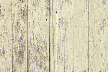 Obraz premium Wood background texture