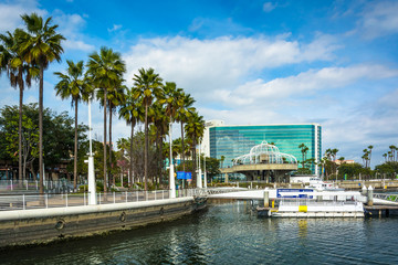 Palm trees and buildings along the harbor in Long Beach, Califor