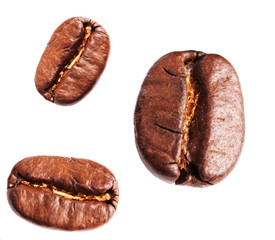 Collection of Roasted Coffee Beans isolated on white background.