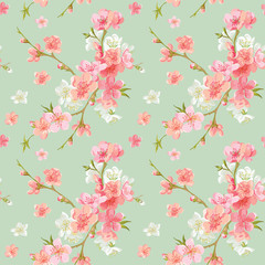 Spring Blossom Flowers Background