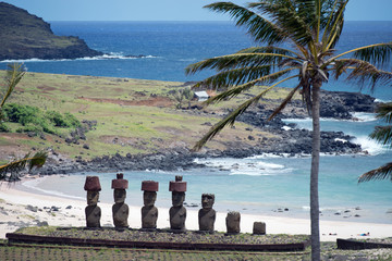 Moai am Palmenstrand (Osterinsel, Rapa Nui)