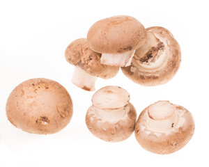 Fresh mushrooms brown champignon on a white background