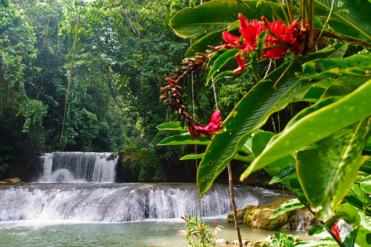 YS-Falls, Jamaika