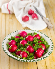 Bowl of red radishes and green onions on a wooden background