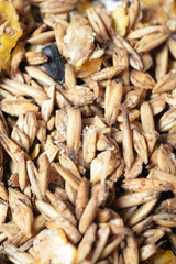 natural sportive  muesli background. for horse. macro