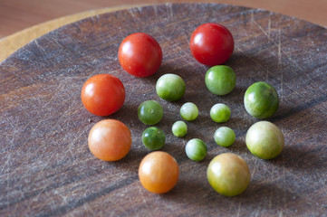 Cherry tomatoes of different ripeness, life cycle