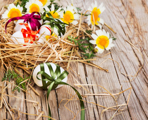 easter eggs with color bows in a nest  and spring flowers
