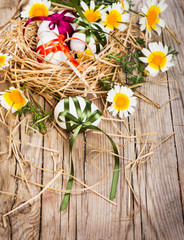 nest with easter eggs and  chamomiles